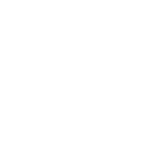 FINEST SHOT LOGO 1