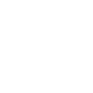 Foundation logo--01
