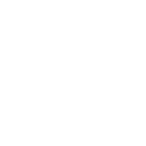 THE CAFE SALON-